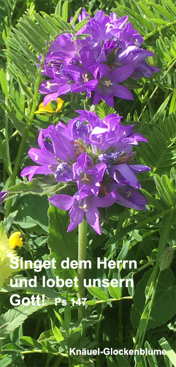 per Klick zu den Bibeltexten